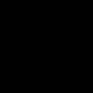 Meet your Posher, Genc